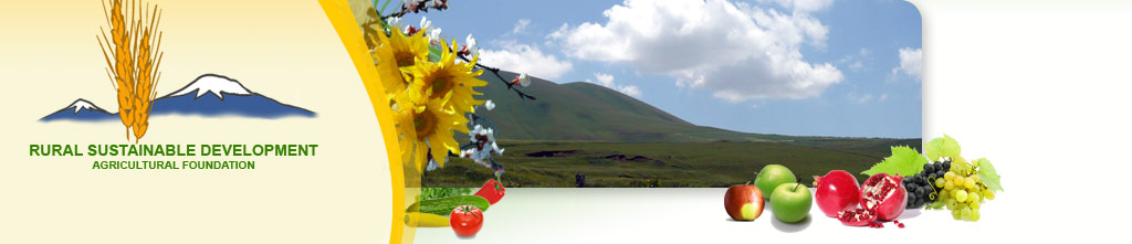RURAL SUSTAINABLE DEVELOPMENT